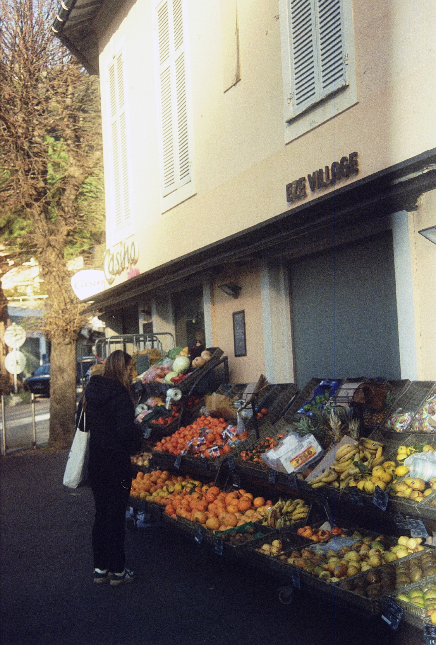 Fruit in the Shadow of Eze Village